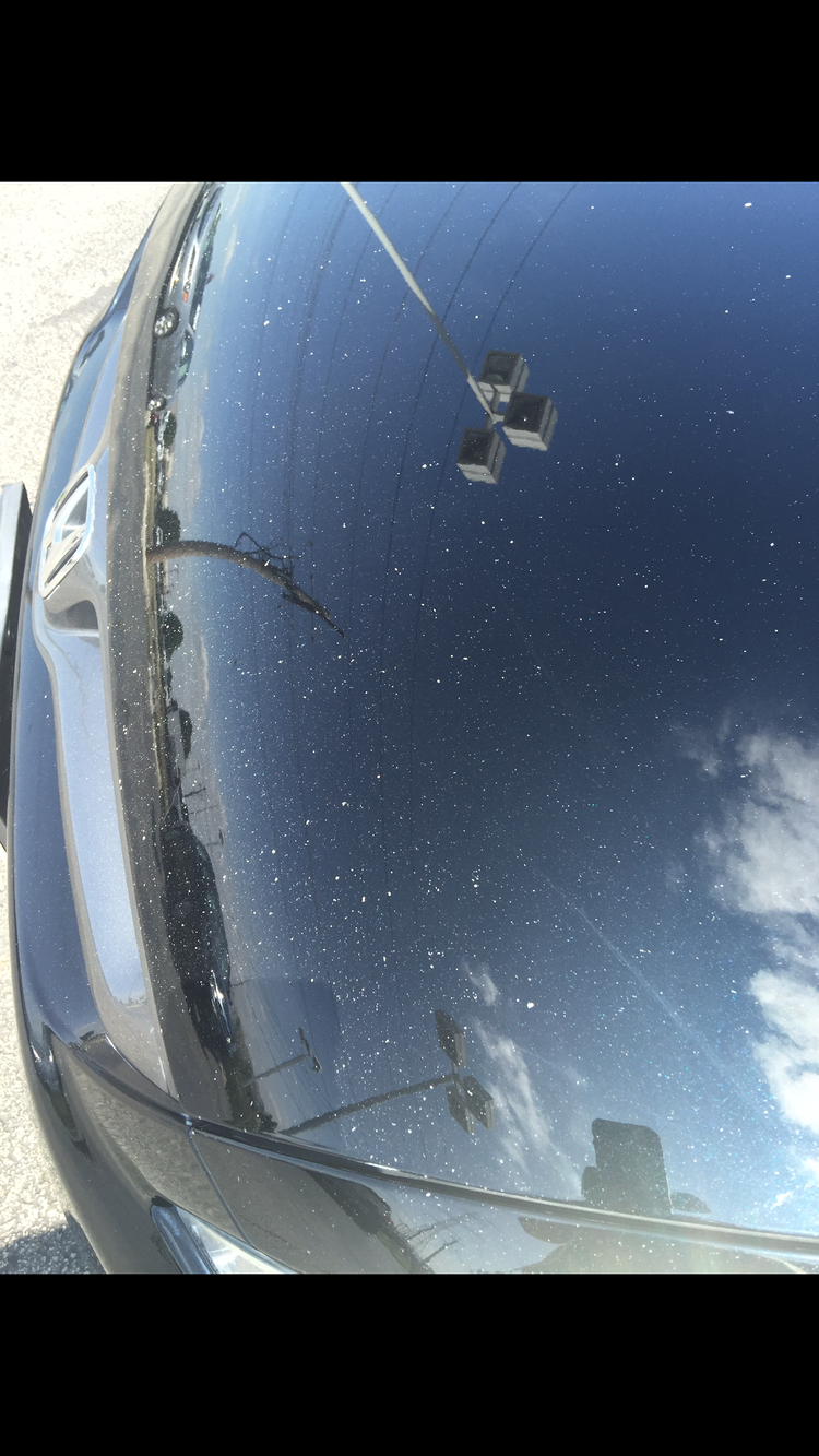 Luxury Sedan Restoration